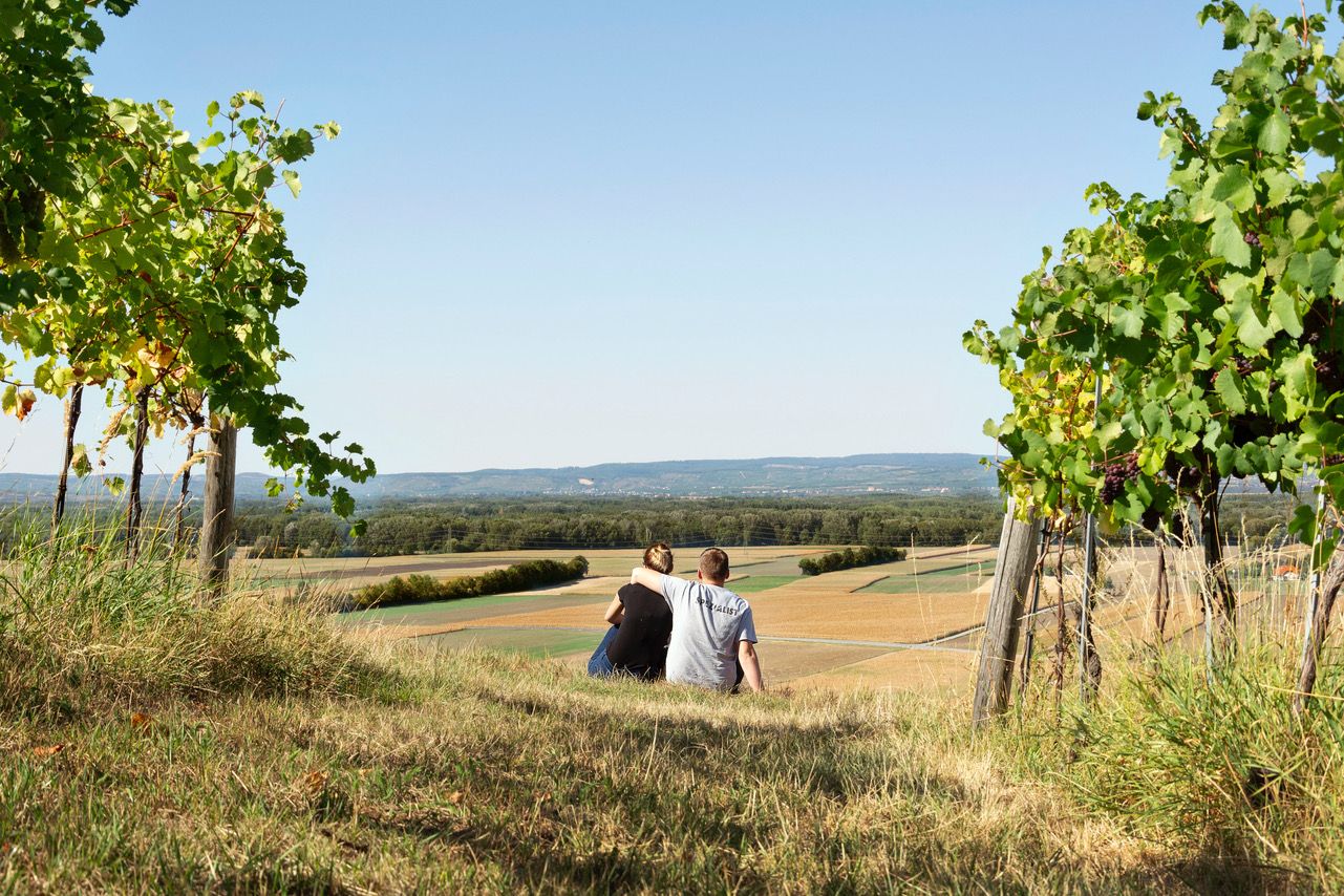 Ein Paar sitzt auf einem Hügel zwischen Weinreben und blickt auf eine weite Landschaft mit Feldern und Hügeln im Hintergrund.