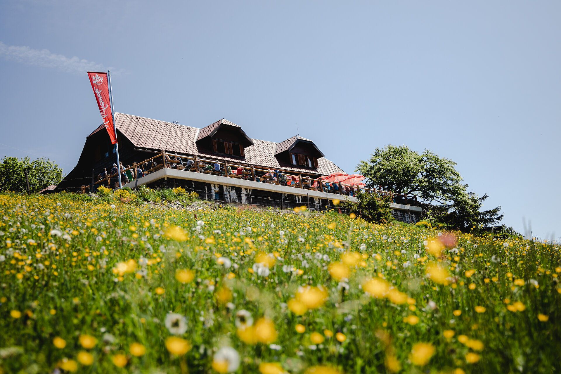 Umgeben von bunten Almwiesen und majestätischen Bergen lädt die Traisnerhütte zu einer wohlverdienten Rast ein. Hier genießen Wanderer die frische Bergluft und die atemberaubende Aussicht auf die umliegende Natur. Ein Ort der Entspannung und des Genusses, wo die Schönheit des Bergsommers in vollen Zügen erlebt werden kann.