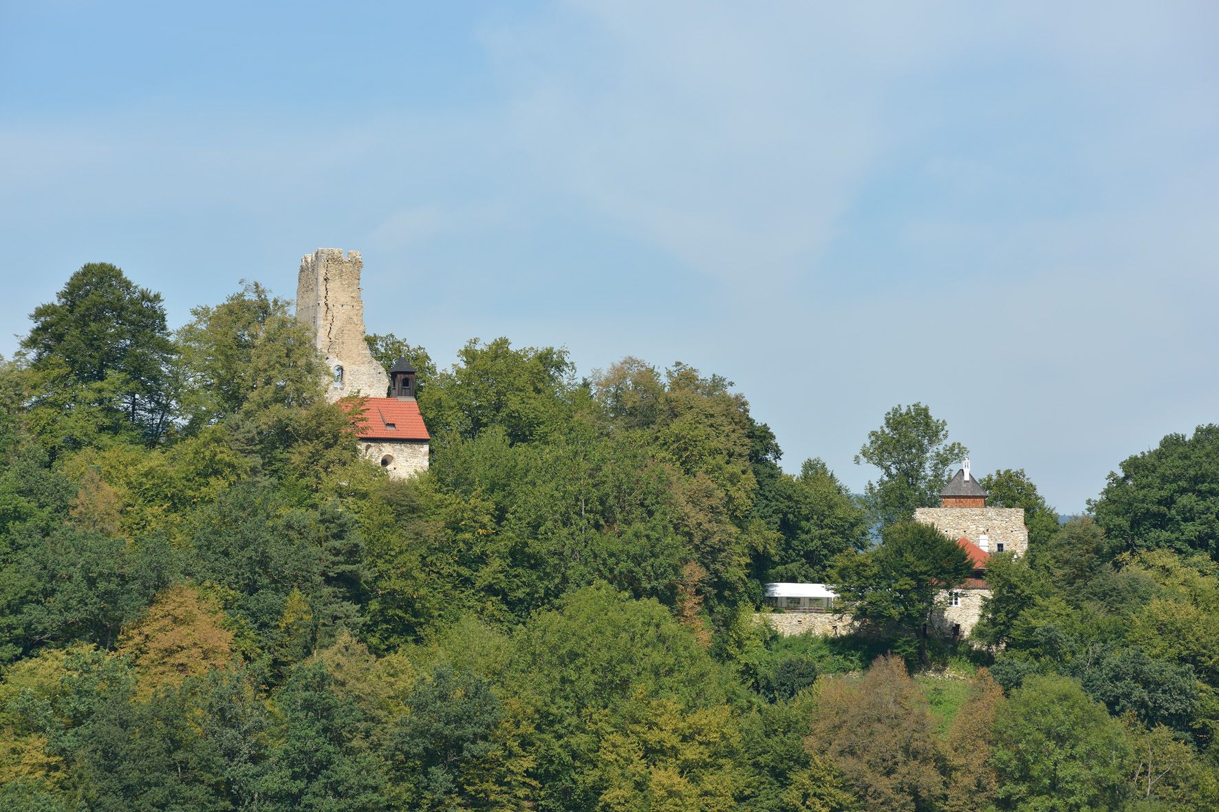 Ruine Wolfstein 