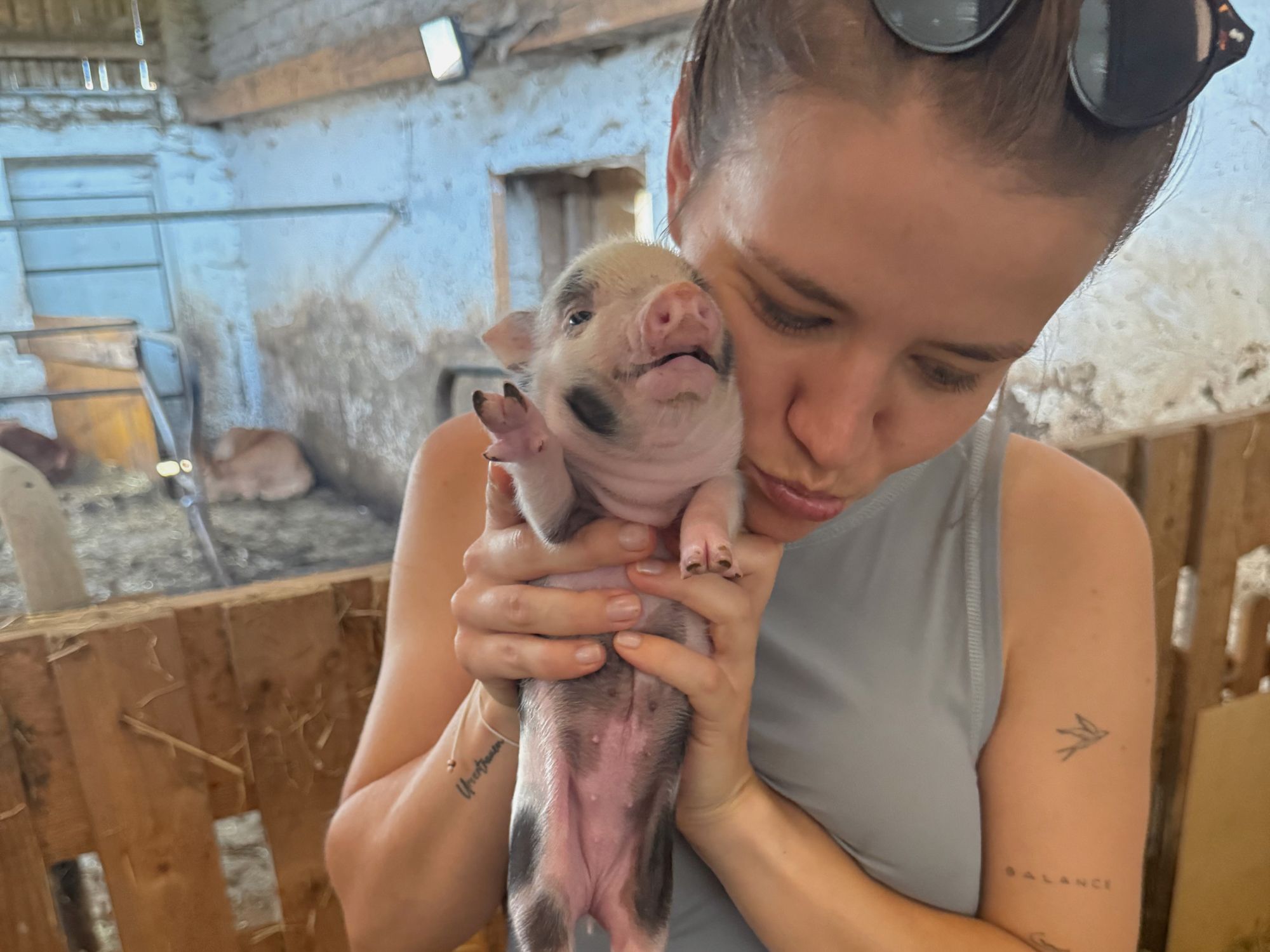 Eine Frau hält ein Ferkel in einem Stall und kuschelt es an die Wange.
