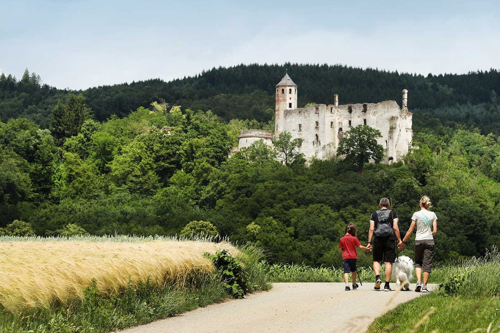 Familie mit Hund wandert auf Asphaltweg, im Hintergrund Ruine Hohenegg.