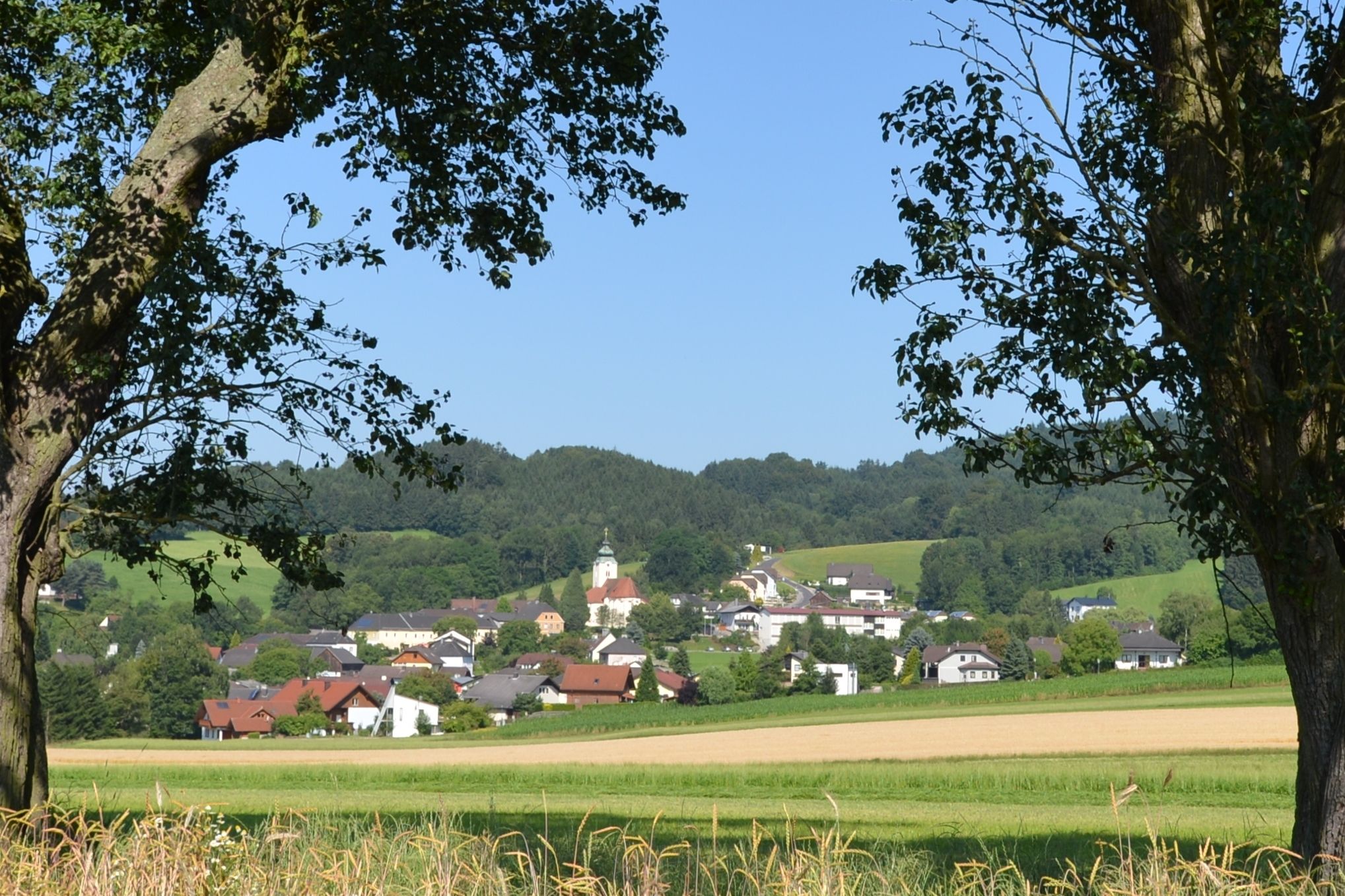 Landschaft mit Dorf und Kirche im Hintergrund, umrahmt von Bäumen.