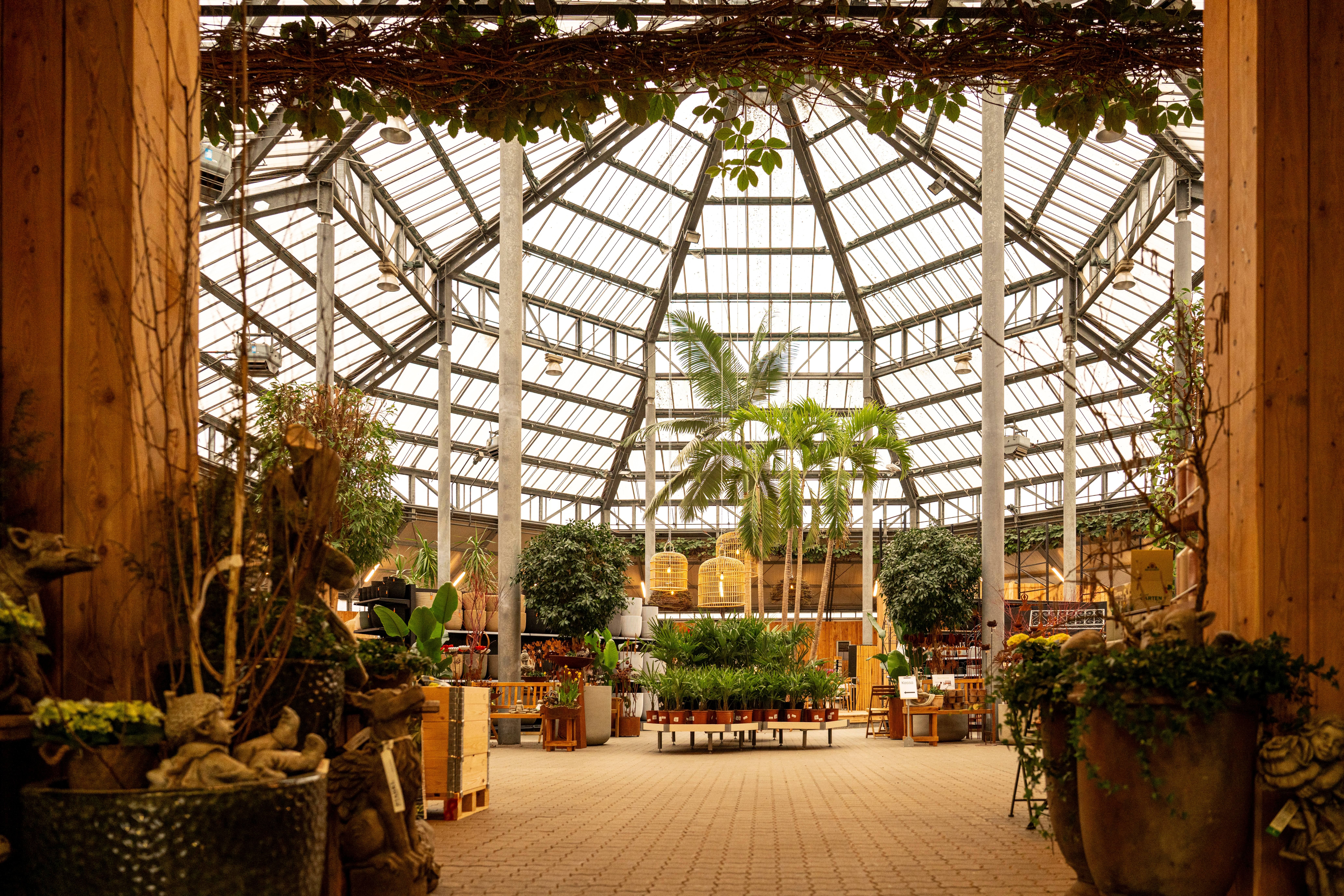 Palmenhaus