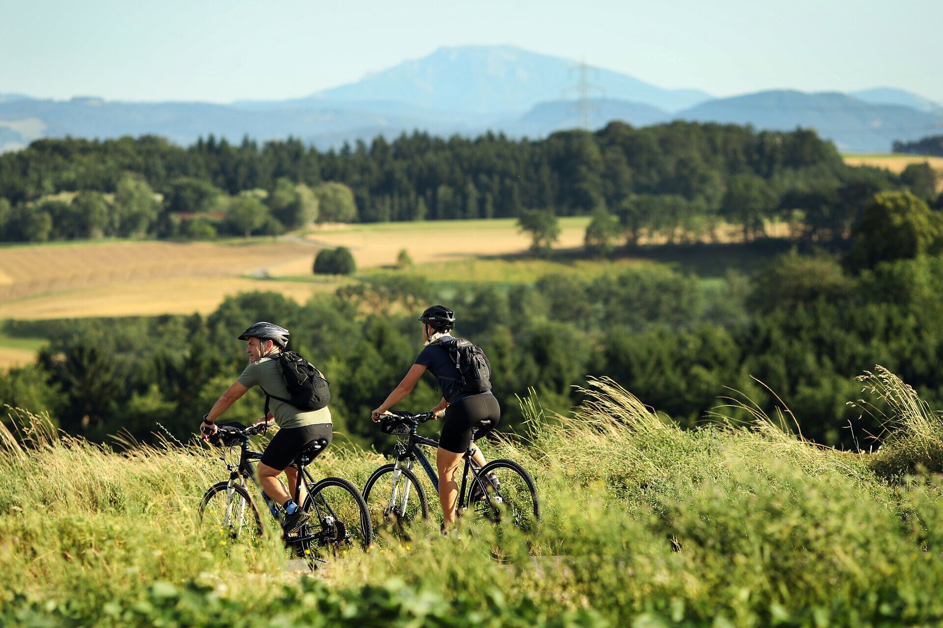 Radfahren durch das Melker Alpenvorland.