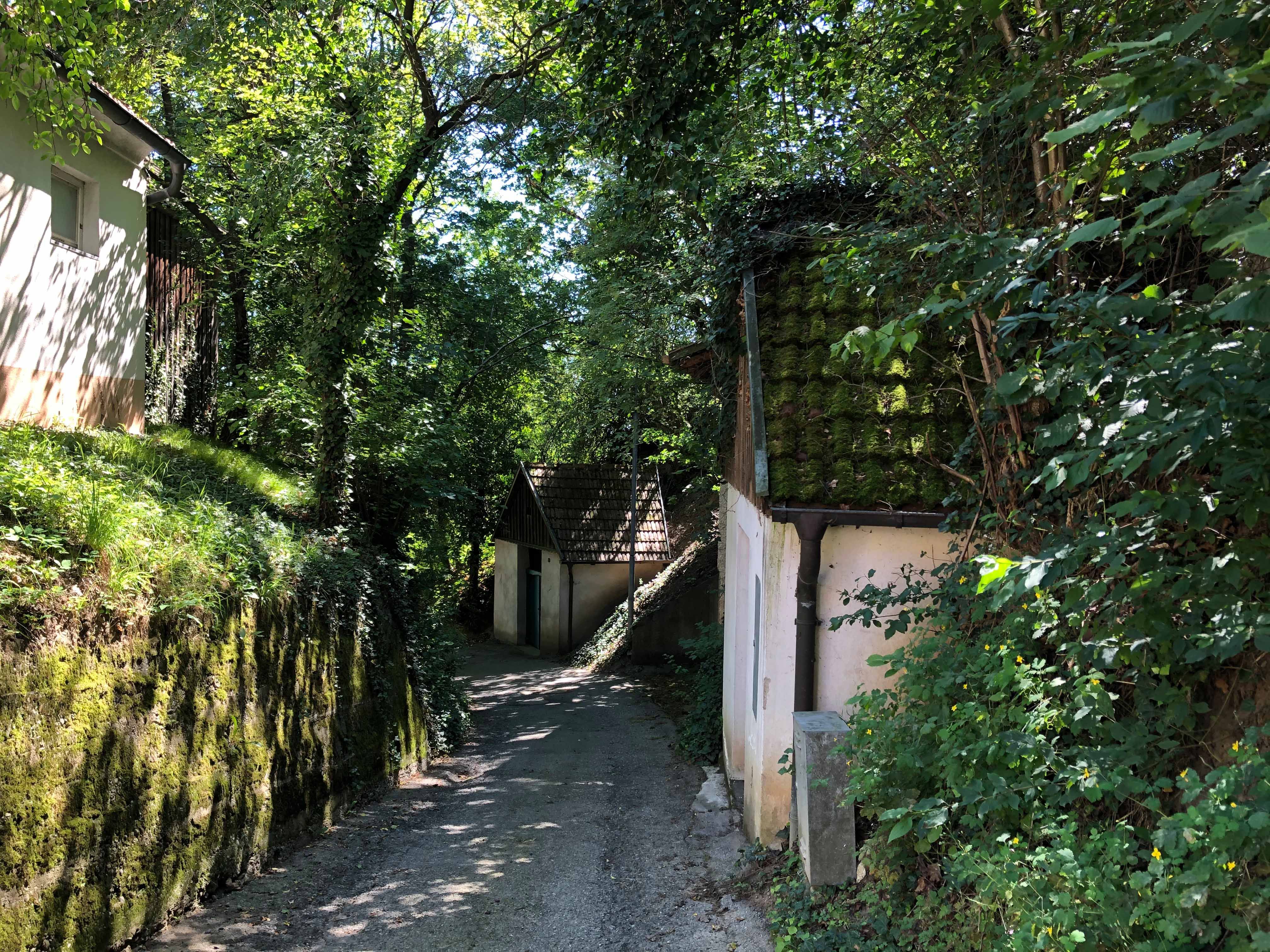 Ein schmaler Weg führt durch einen grünen, bewaldeten Bereich mit kleinen Gebäuden an den Seiten.