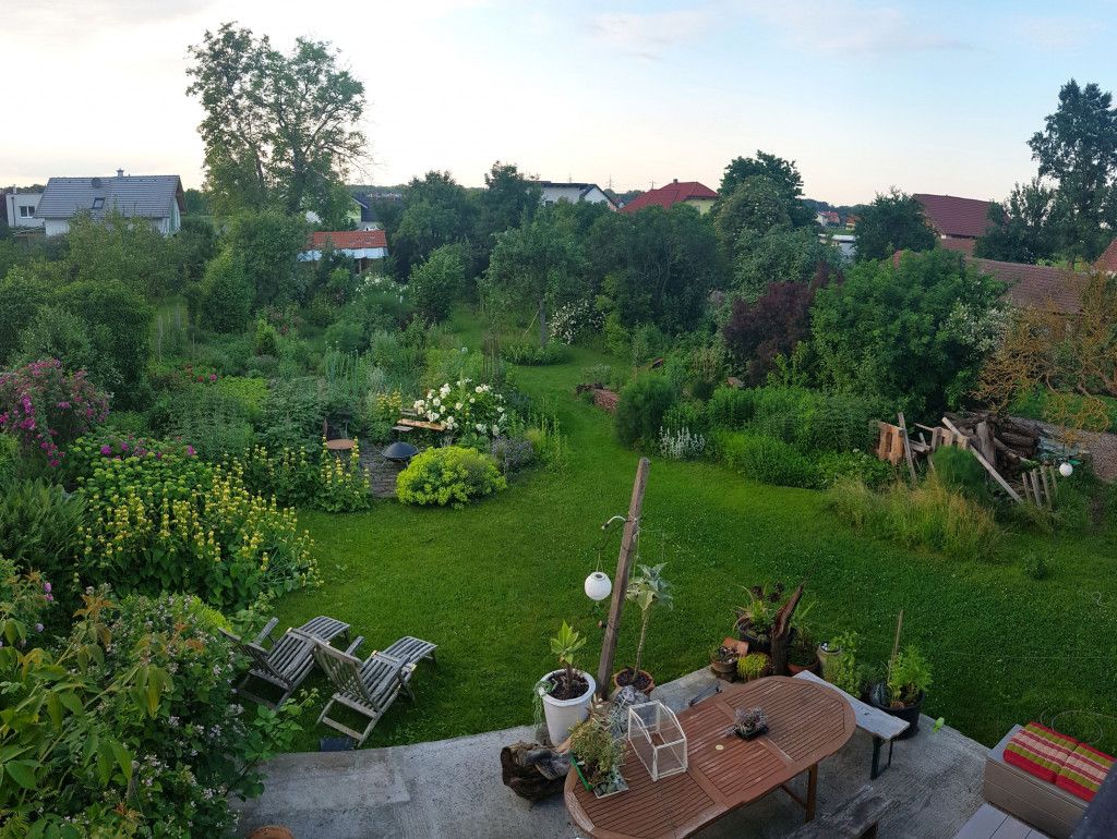 Hortus laetus
