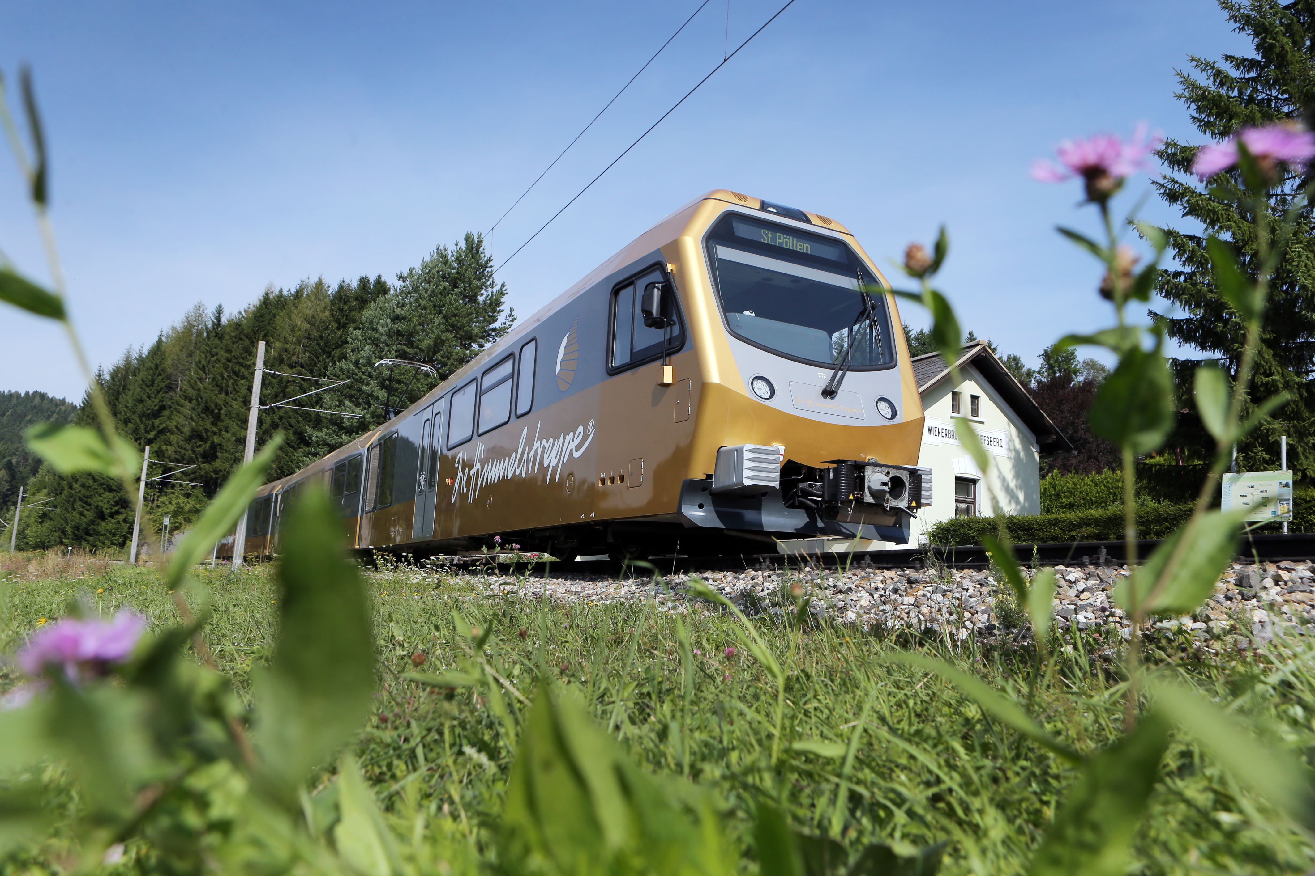 Ein goldener Zug namens Himmelstreppe fährt durch eine grüne Landschaft mit Blumen im Vordergrund.