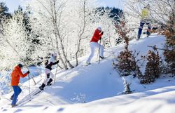 Eine Gruppe von Freunden genießt die winterliche Landschaft beim Schneeschuhwandern. Die schneebedeckten Hügel und die glitzernden Bäume schaffen eine zauberhafte Atmosphäre, die zum Verweilen einlädt. Hier in den Bergen wird der Winter zu einem unvergesslichen Erlebnis.
