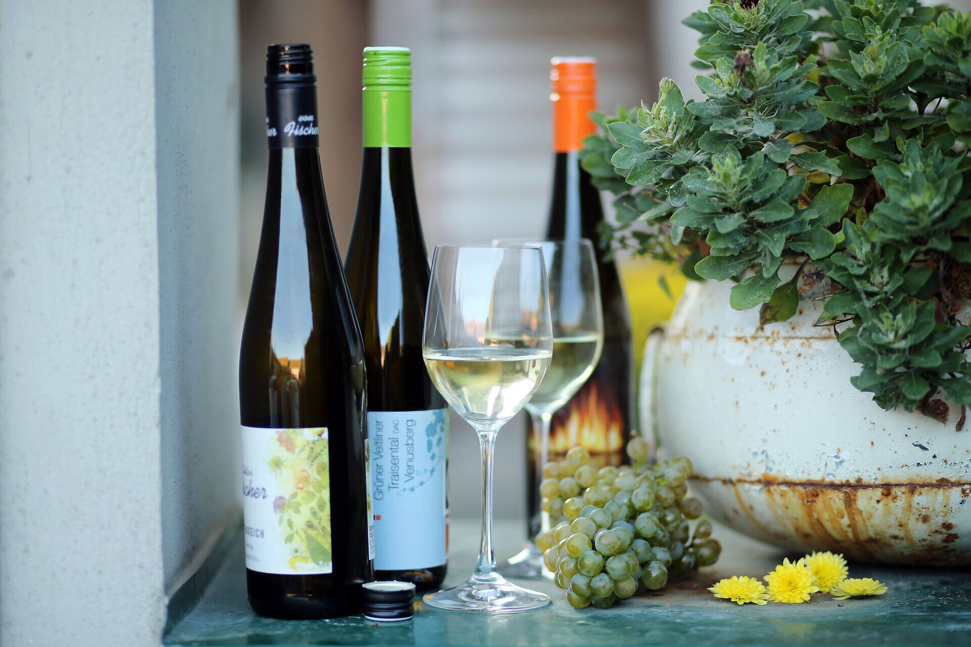 Genießen Sie einen erfrischenden Weißwein inmitten der malerischen Weinlandschaft. Die sanften Hügel und die üppigen Weinreben laden zu einem entspannten Aufenthalt ein, während die frischen Trauben und die blühenden Pflanzen eine harmonische Atmosphäre schaffen.