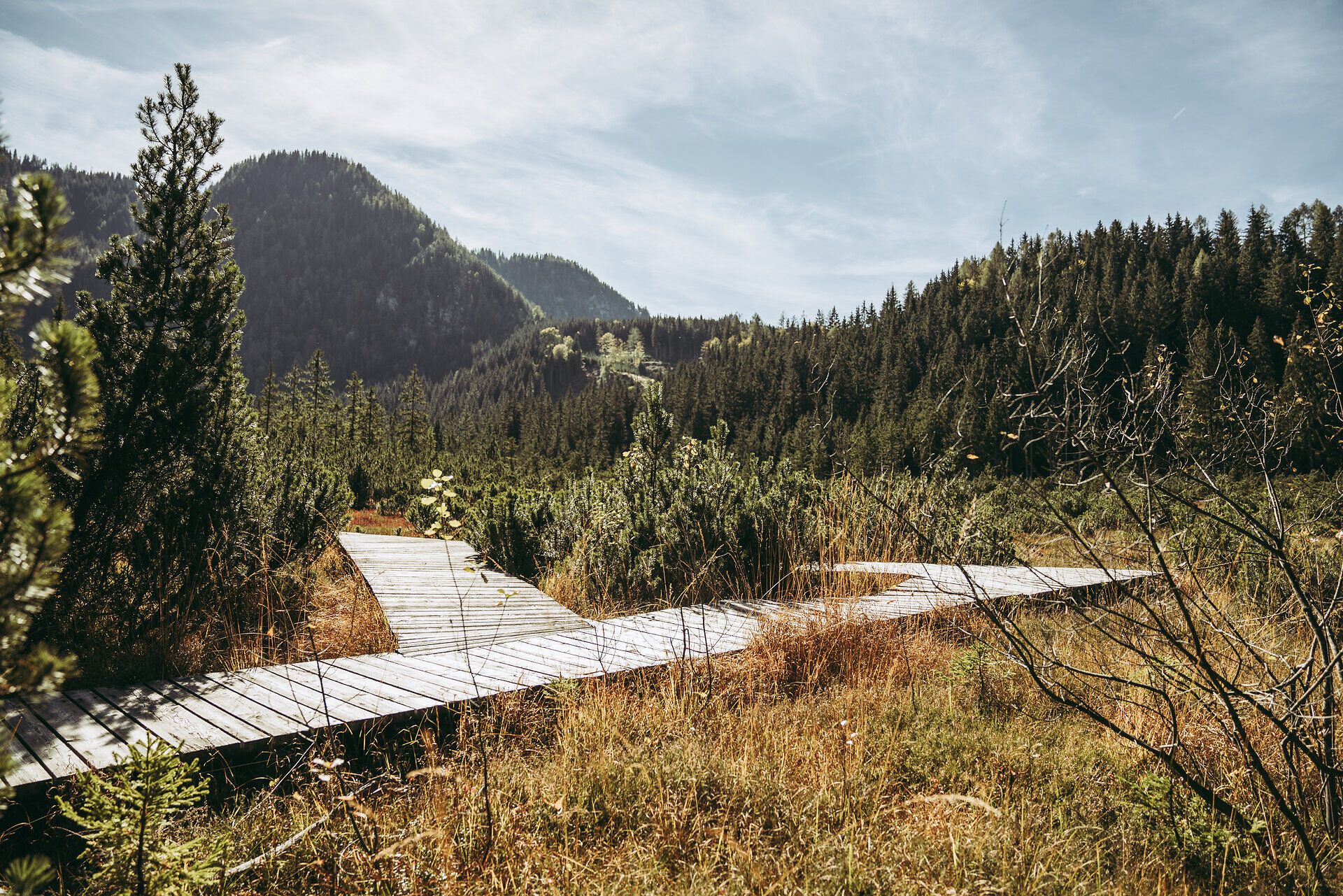 Ein sanfter Holzsteg schlängelt sich durch das goldene Gras des Hochmoors, umgeben von majestätischen Bergen und dichten Wäldern. Die frische, klare Luft und das Zwitschern der Vögel laden dazu ein, die Schönheit der Natur in vollen Zügen zu genießen. Hier, wo die Stille der Berge auf die lebendige Flora trifft, wird jeder Schritt zu einem unvergesslichen Erlebnis.