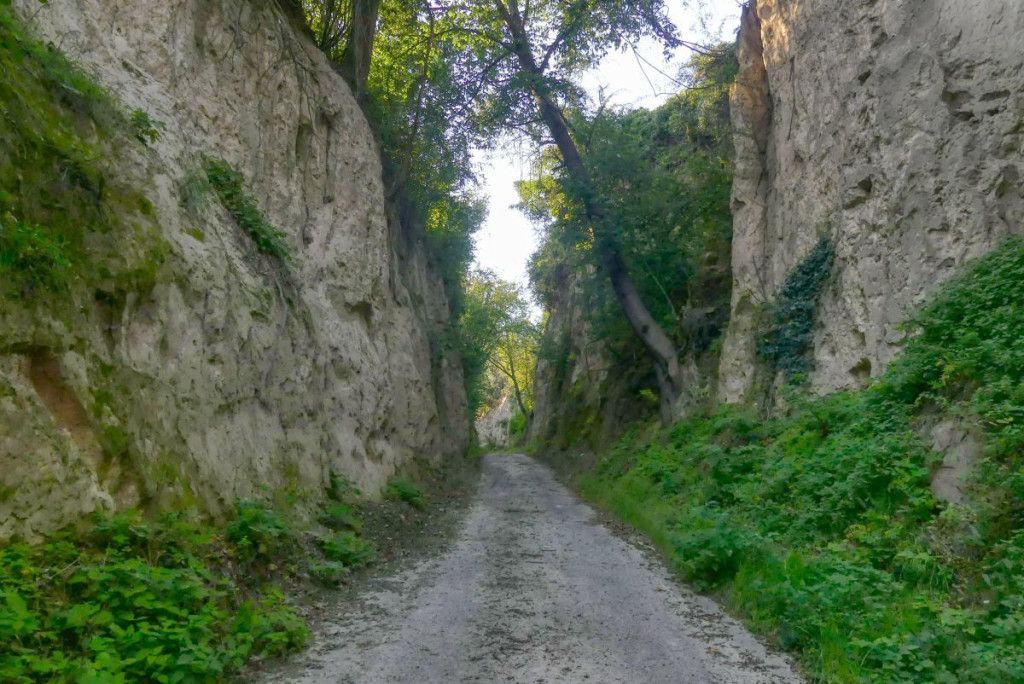 Lössweg Wagram ob der Traisen