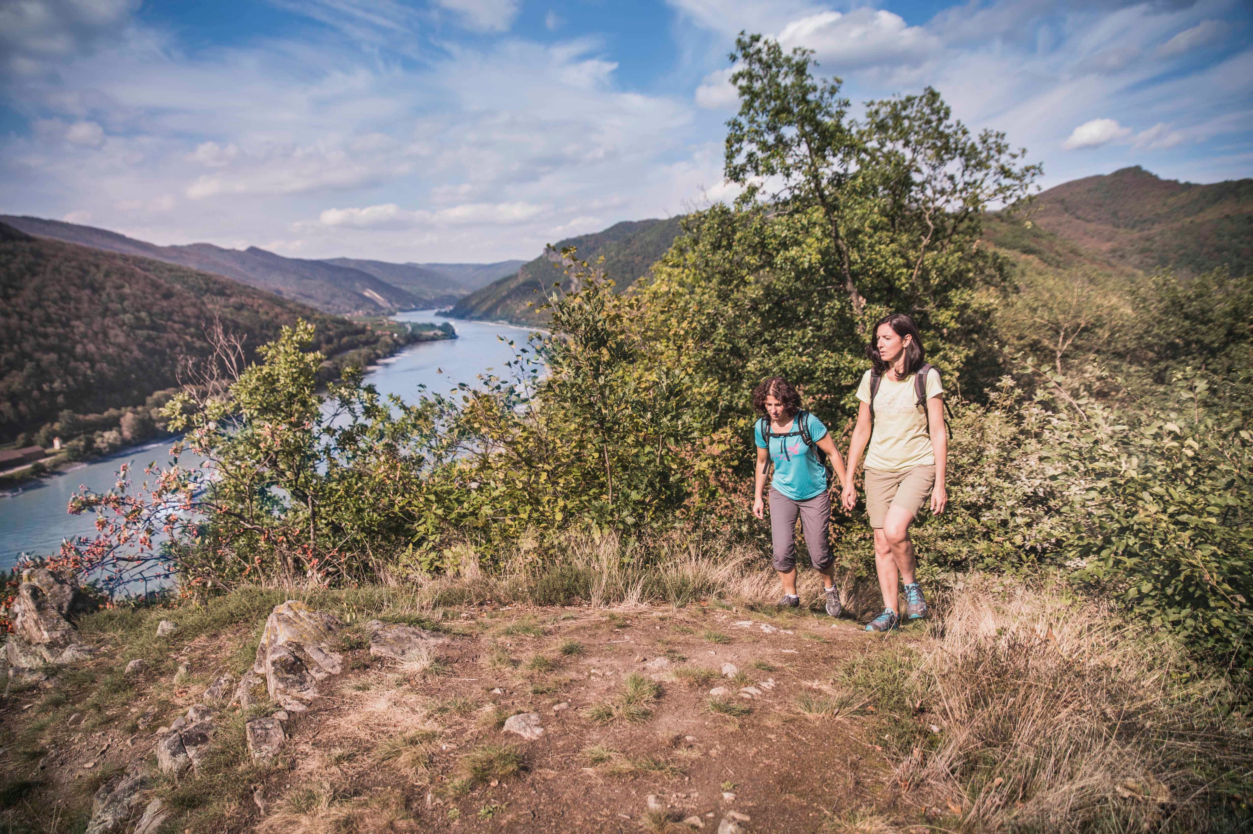 Wandern am Luftberg bei Aggsbach Dorf