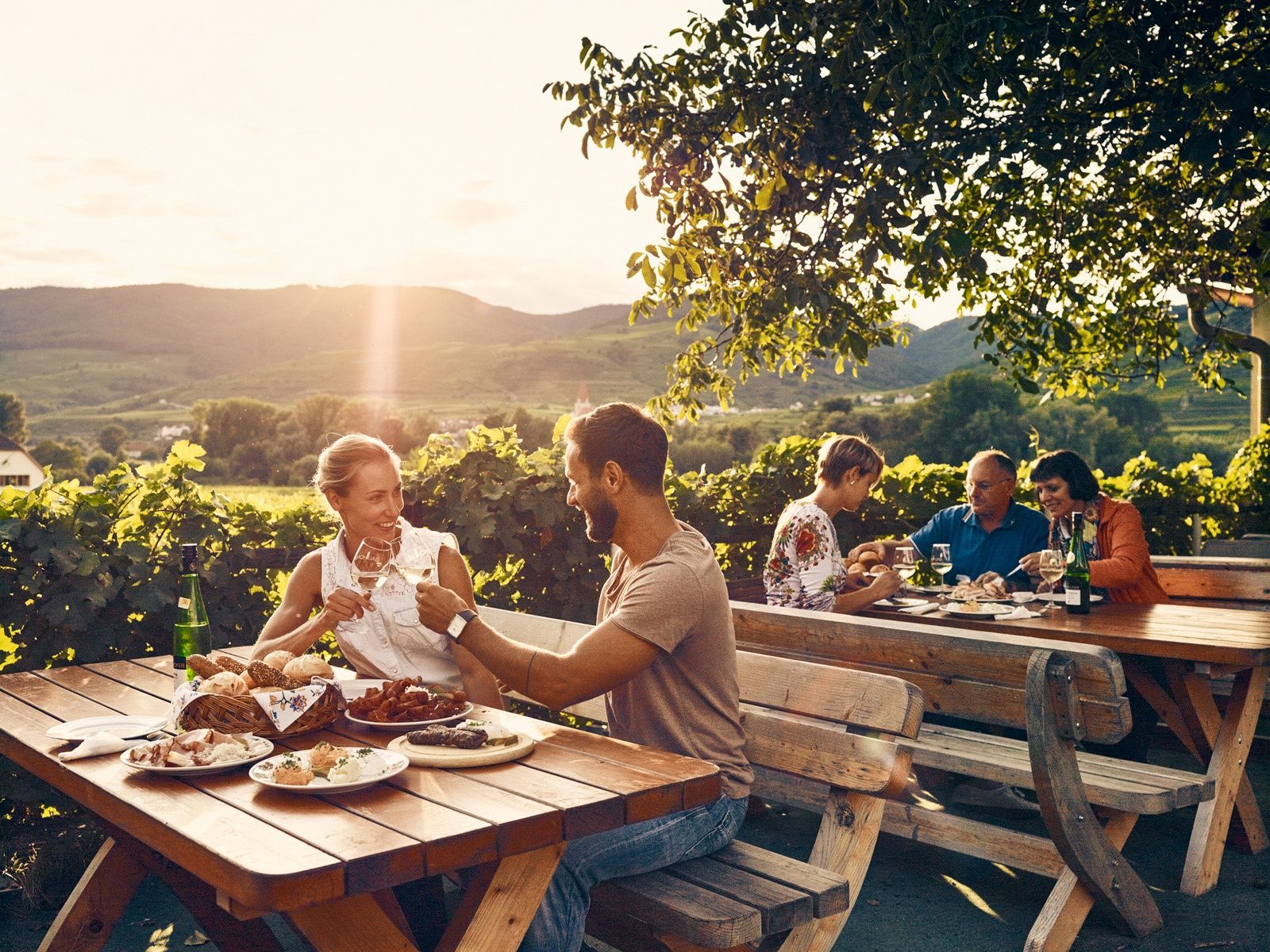 Heruigenbesuch in der Wachau