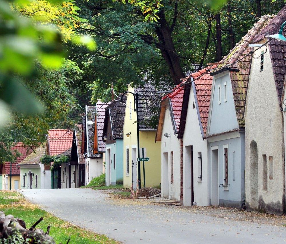 Reihe von Weinkellern in einer grünen, bewaldeten Umgebung.