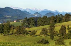 Die sanften Hügel des Mostviertels laden zu einem unvergesslichen Ausblick ein, während die majestätischen Berge im Hintergrund die Landschaft umrahmen. Hier, wo die Natur in voller Blüte steht, können Wanderer die frische Luft und die Ruhe der alpinen Umgebung genießen.