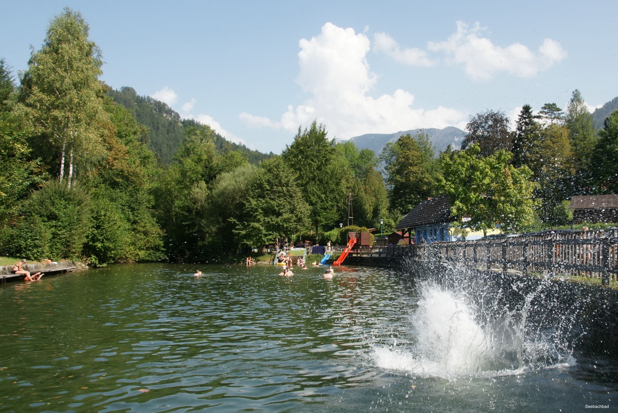 Menschen schwimmen und spielen im Seebachbad Lunz am See, umgeben von Bäumen und Bergen.