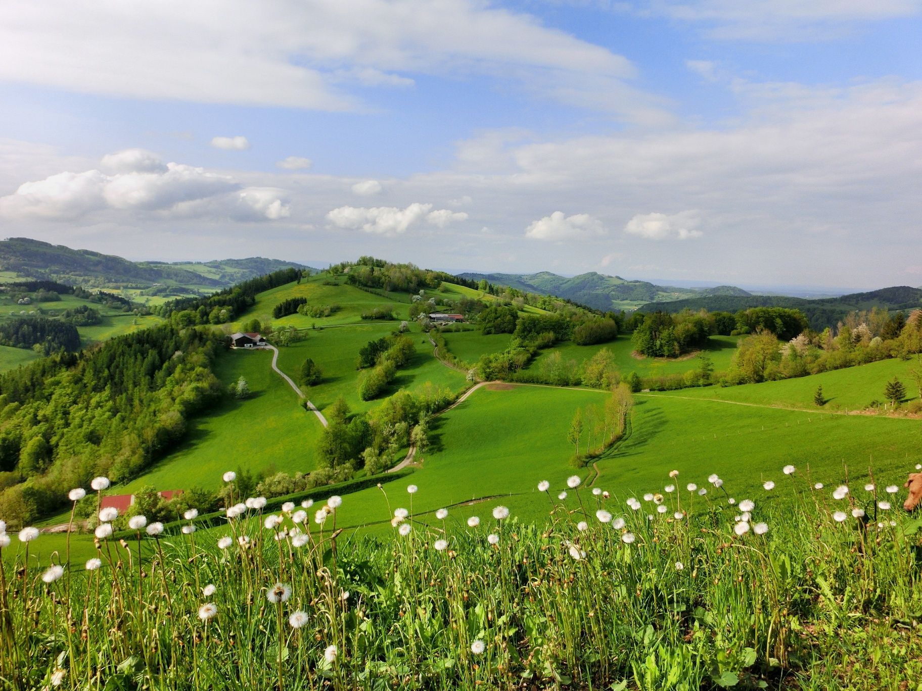 Ausblick "Stuben"