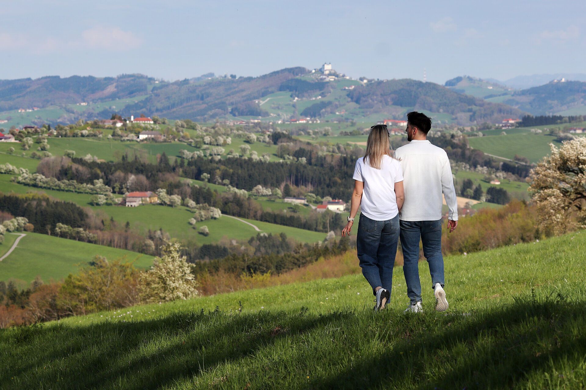 Paar spaziert durch die blühende Landschaft.