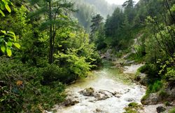 Ein sanfter Fluss schlängelt sich durch die üppige, grüne Landschaft der Ötschergräben, umgeben von majestätischen Bäumen und sanften Hügeln. Die frische, klare Luft und das sanfte Plätschern des Wassers schaffen eine friedliche Atmosphäre, die zum Verweilen und Entspannen einlädt.