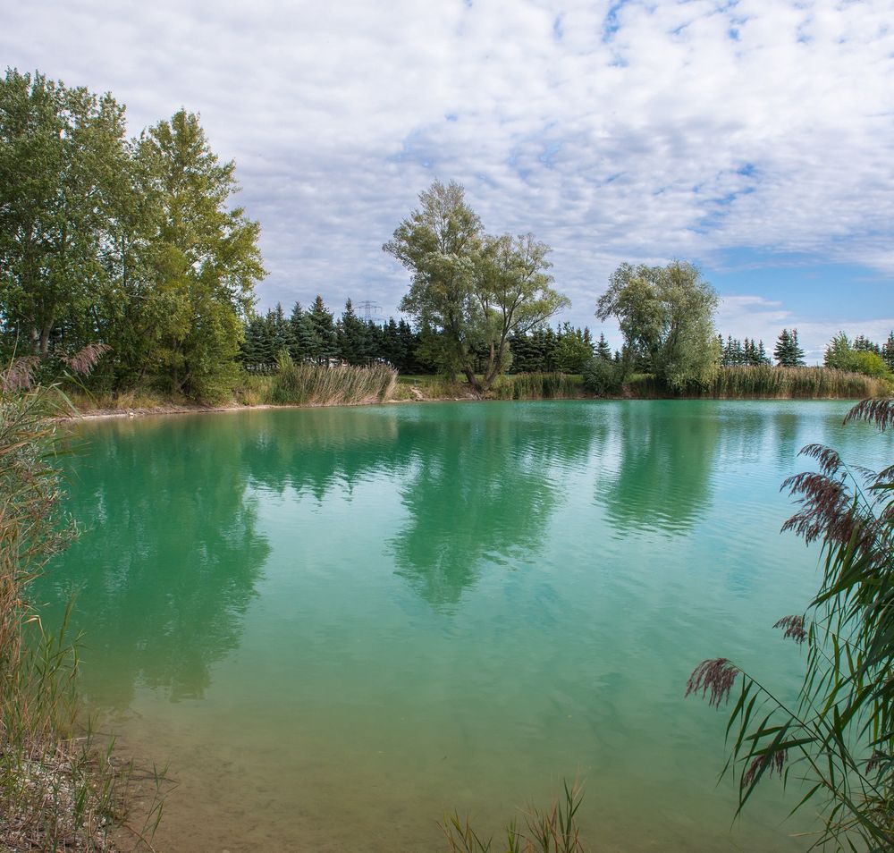 Ein ruhiger See mit klarem, türkisfarbenem Wasser, umgeben von Bäumen und Schilf unter einem bewölkten Himmel.