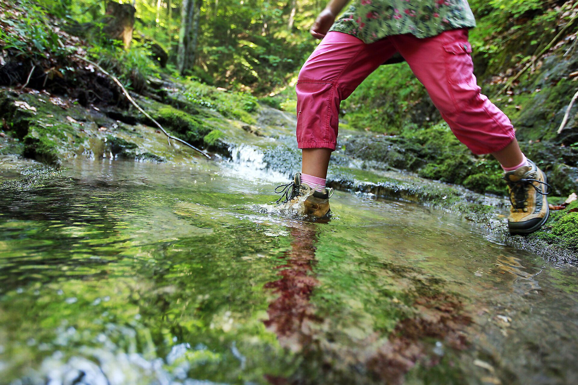Ein erfrischender Wasserlauf schlängelt sich durch die grüne Landschaft, während Wanderer fröhlich durch das klare Wasser waten. Umgeben von üppigem Grün und dem Gesang der Vögel, lädt dieser Ort dazu ein, die Natur in vollen Zügen zu genießen.