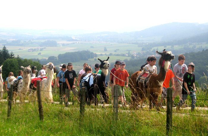Gruppe von Menschen und Lamas auf einem Wanderweg mit Landschaft im Hintergrund.