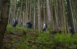Wanderung zur Gschwendthütte während der Gipfelklänge 2025.
Musikliebhaberinnen und -liebhaber wandern durch Almwiesen und Wälder hinauf zur Gschwendthütte, wo Musik und Natur aufeinandertreffen.