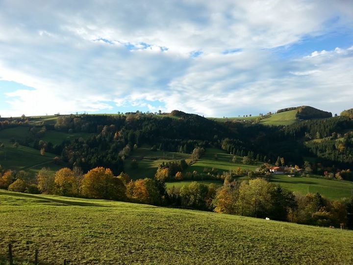 Landschaft mit grünen Hügeln und Bäumen unter einem bewölkten Himmel.