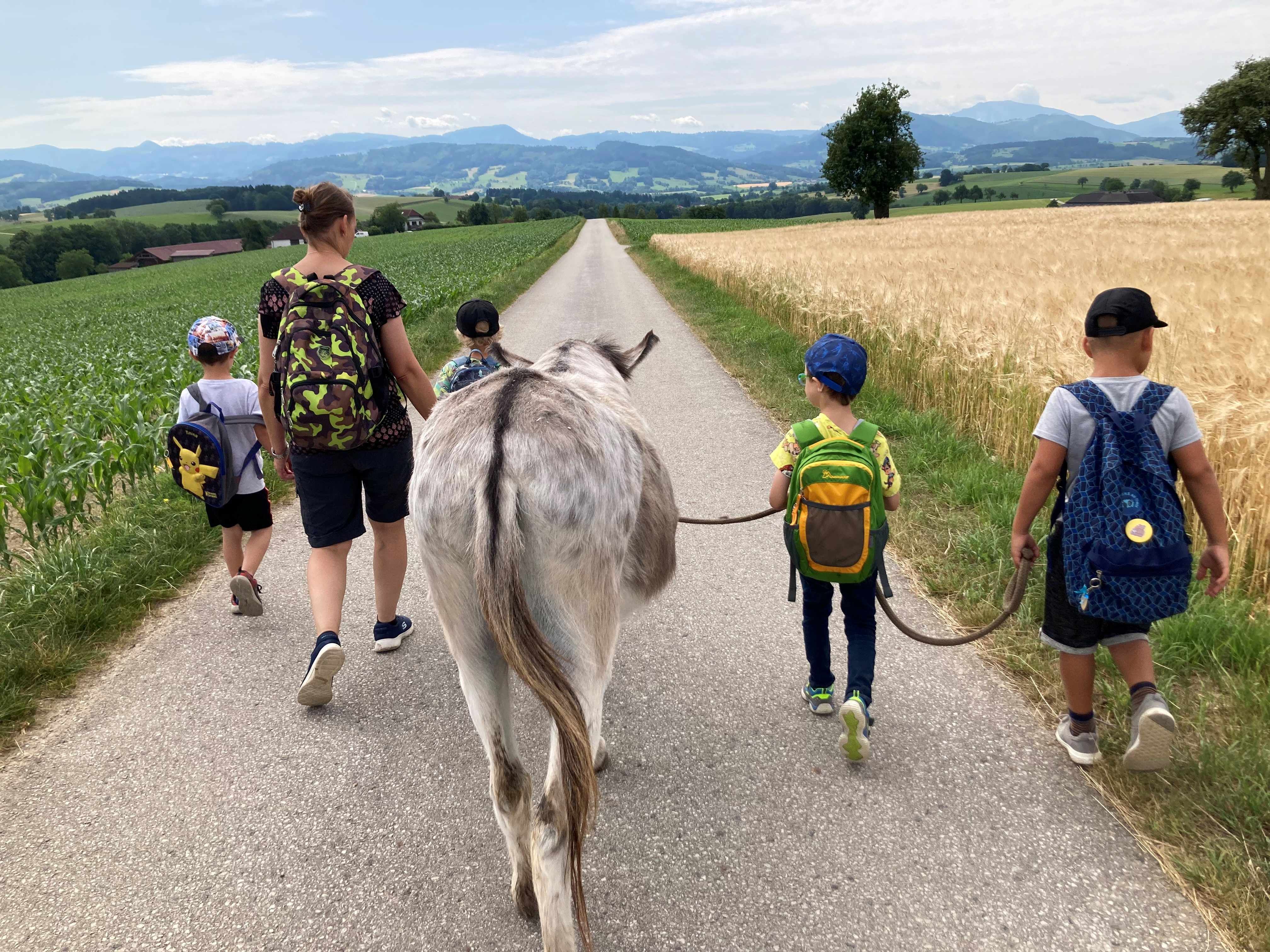 Eselwanderung am Esperanzahof