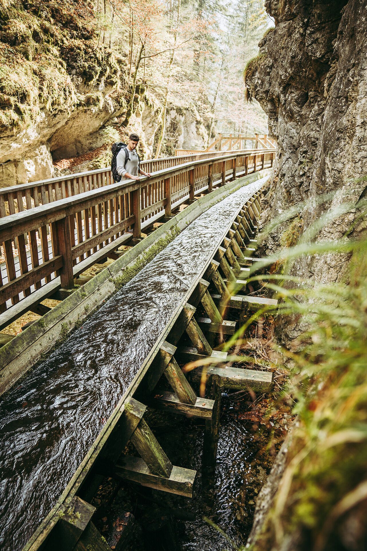 Ein malerischer Holzsteg schlängelt sich durch die unberührte Natur des Mendlingtals, umgeben von majestätischen Felsen und sanften Wäldern. Das sanfte Plätschern des Wassers und die frische Bergluft laden Wanderer ein, die Schönheit der Ybbstaler Alpen zu genießen.
