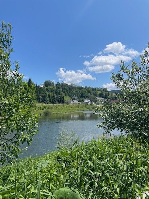 Stausee Wienerbruck