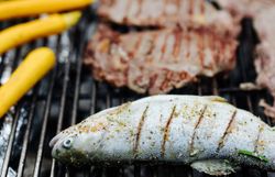 Die Grillstelle im Naturpark Ötscher-Tormäuer lädt zu einem unvergesslichen kulinarischen Erlebnis ein. Frisch gegrillte Forelle und saftige Steaks vereinen sich mit der malerischen Kulisse der umliegenden Natur. Hier genießen Besucher nicht nur köstliche Speisen, sondern auch die Ruhe und Schönheit der Landschaft.