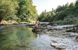 Ein sanfter Fluss schlängelt sich durch die malerische Landschaft, umgeben von üppigem Grün und majestätischen Bäumen. Die ruhige Atmosphäre lädt dazu ein, die Seele baumeln zu lassen und die Schönheit der Natur zu genießen.