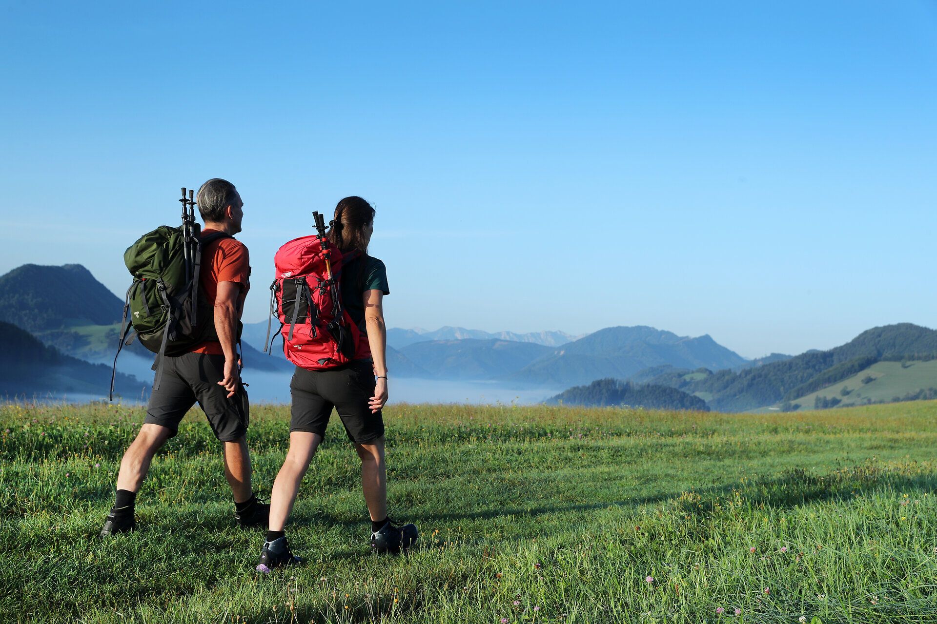 Zwei Wanderer genießen die frische Bergluft und den atemberaubenden Ausblick auf die sanften Hügel und majestätischen Gipfel. Umgeben von üppigem Grün und blühenden Wildblumen, spüren sie die Freiheit und den Frieden der Natur. Der Weg führt sie durch eine malerische Landschaft, die zum Entdecken und Verweilen einlädt.