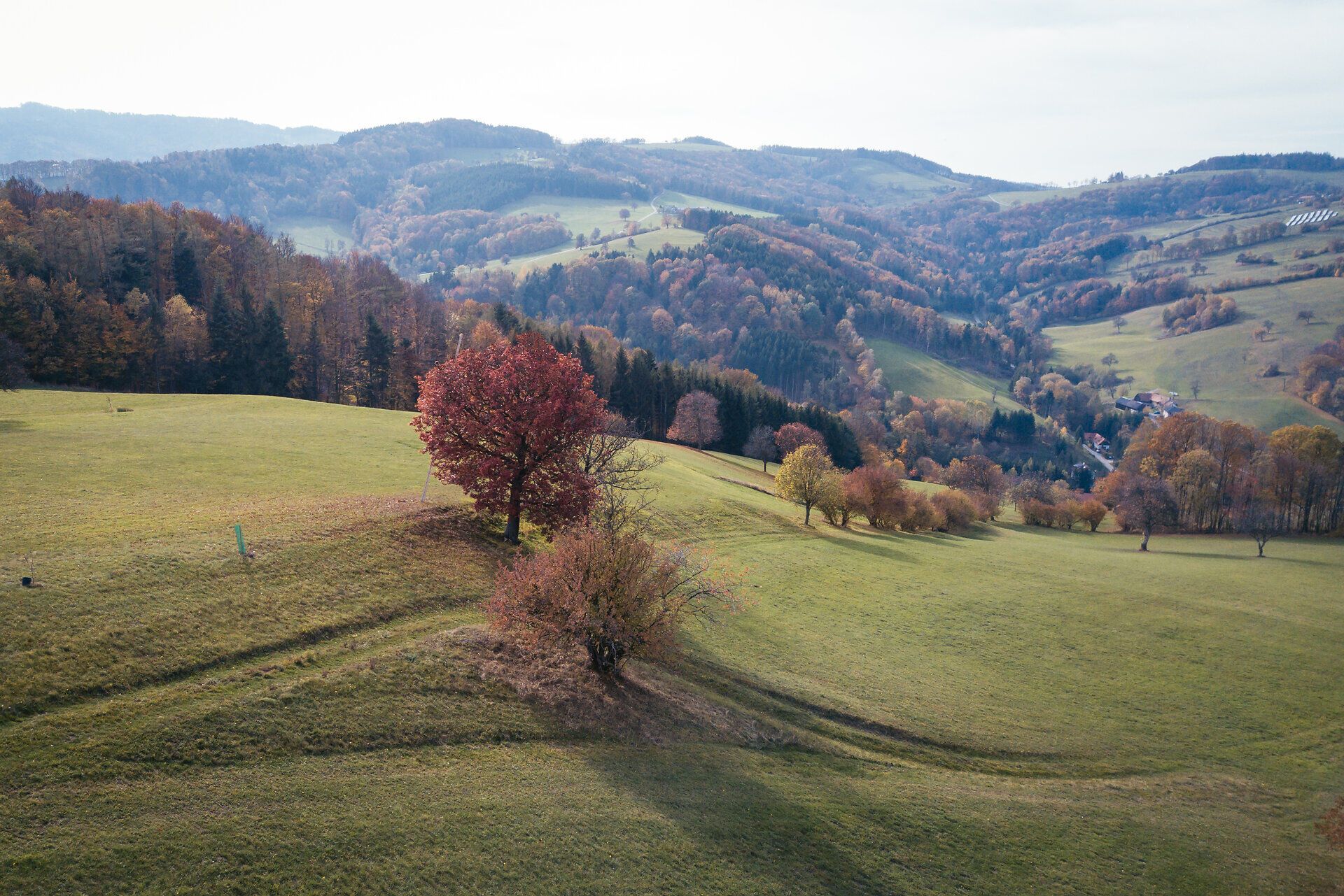 DG_Elsbeere_DJI_0111