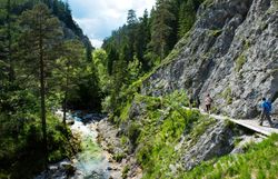 Die sanften Hügel und majestätischen Felsen umarmen den klaren Fluss, der durch die grüne Landschaft fließt. Wanderer genießen die frische Bergluft und die atemberaubenden Ausblicke, während sie auf schmalen Pfaden die Schönheit der Natur erkunden.
