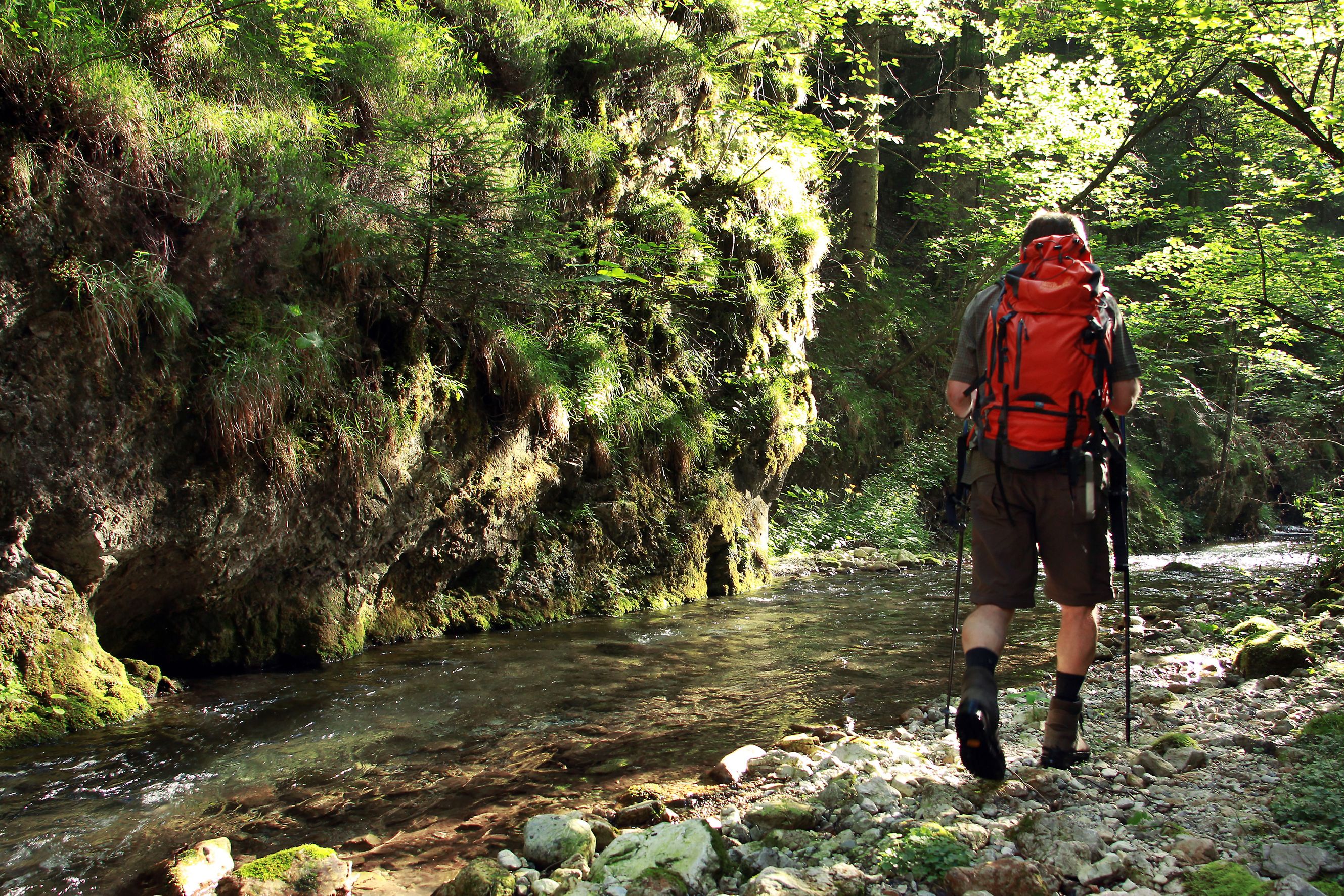 Wanderer mit rotem Rucksack in einer grünen Schlucht neben einem Bach.