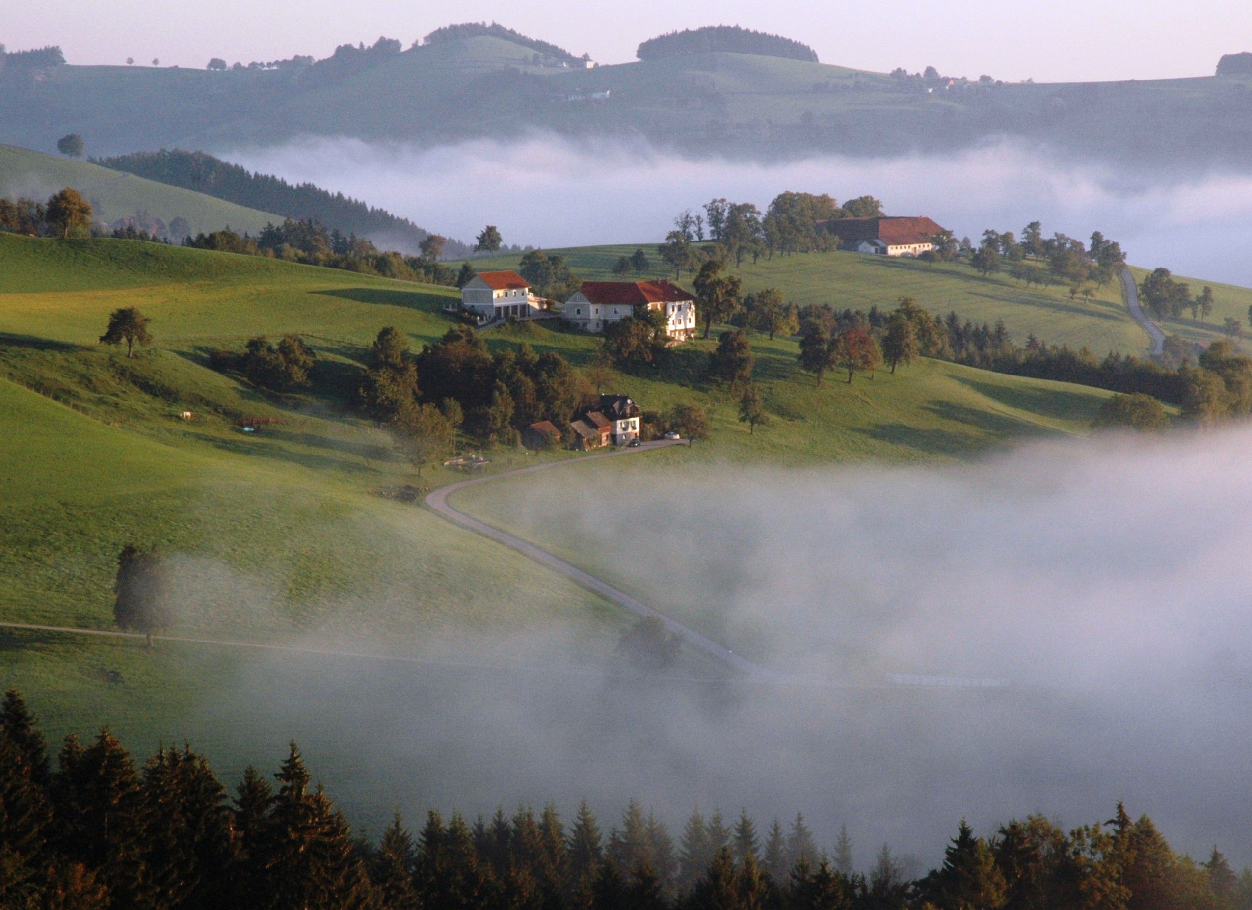 Herbstlandschaft mit grünen Hügeln, vereinzelten Häusern und Nebel.