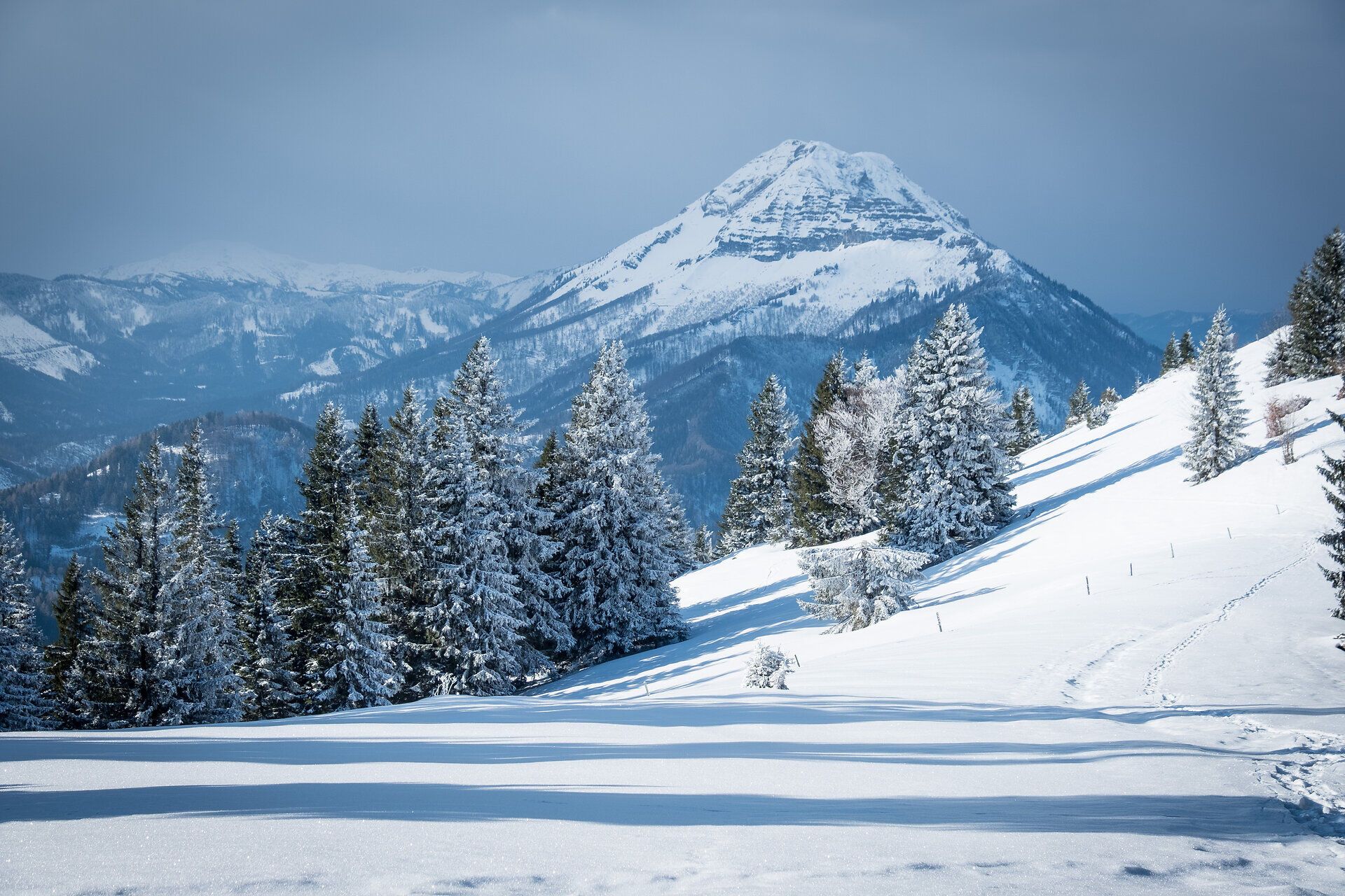 Die verschneiten Hänge des Hochstadelbergs laden zu einem unvergesslichen Schneeschuhabenteuer ein. Umgeben von majestätischen Tannen und dem glitzernden Schnee, erleben Besucher die Ruhe und Schönheit der winterlichen Landschaft. Hier, wo die frische Bergluft die Sinne belebt, wird jeder Schritt zu einem Genuss.