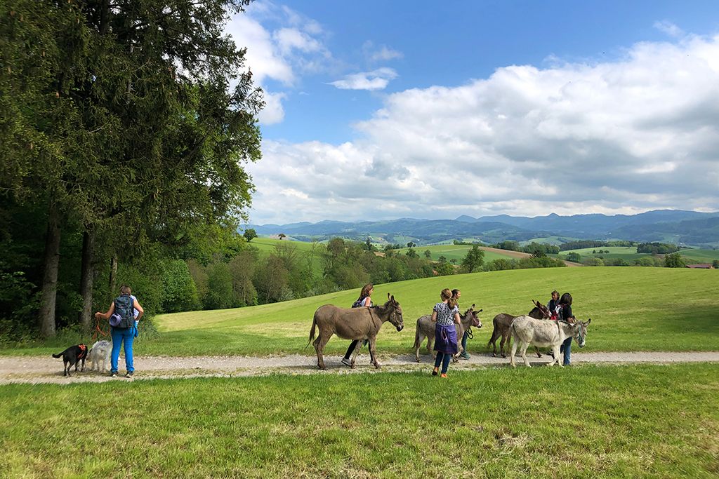 Eselwanderung am Esperanzahof