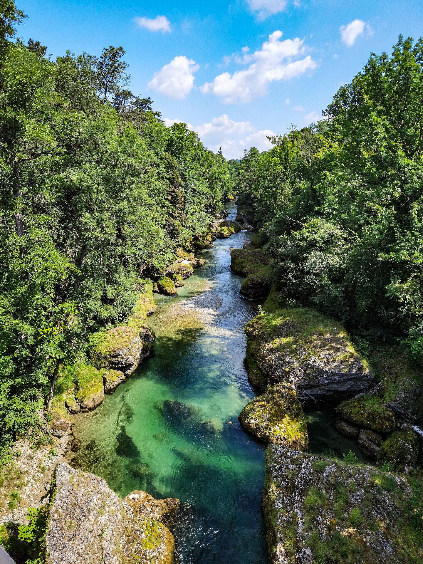 Die Erlaufschlucht verzaubert mit ihrem glitzernden Wasser, das sanft über die glatten Steine plätschert. Umgeben von üppigem Grün und majestätischen Bäumen, lädt dieser Ort zum Verweilen und Entspannen ein. Hier erleben Besucher die unberührte Natur in ihrer schönsten Form.