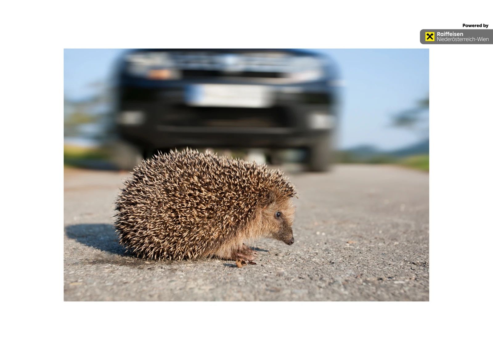 Website-Ansicht -  Photo-SD,Shutterstock.com inkl. Raiffeisen Logo.png