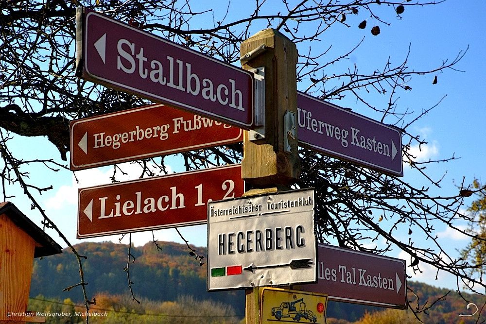 Rot-Grün zum Hegerberg