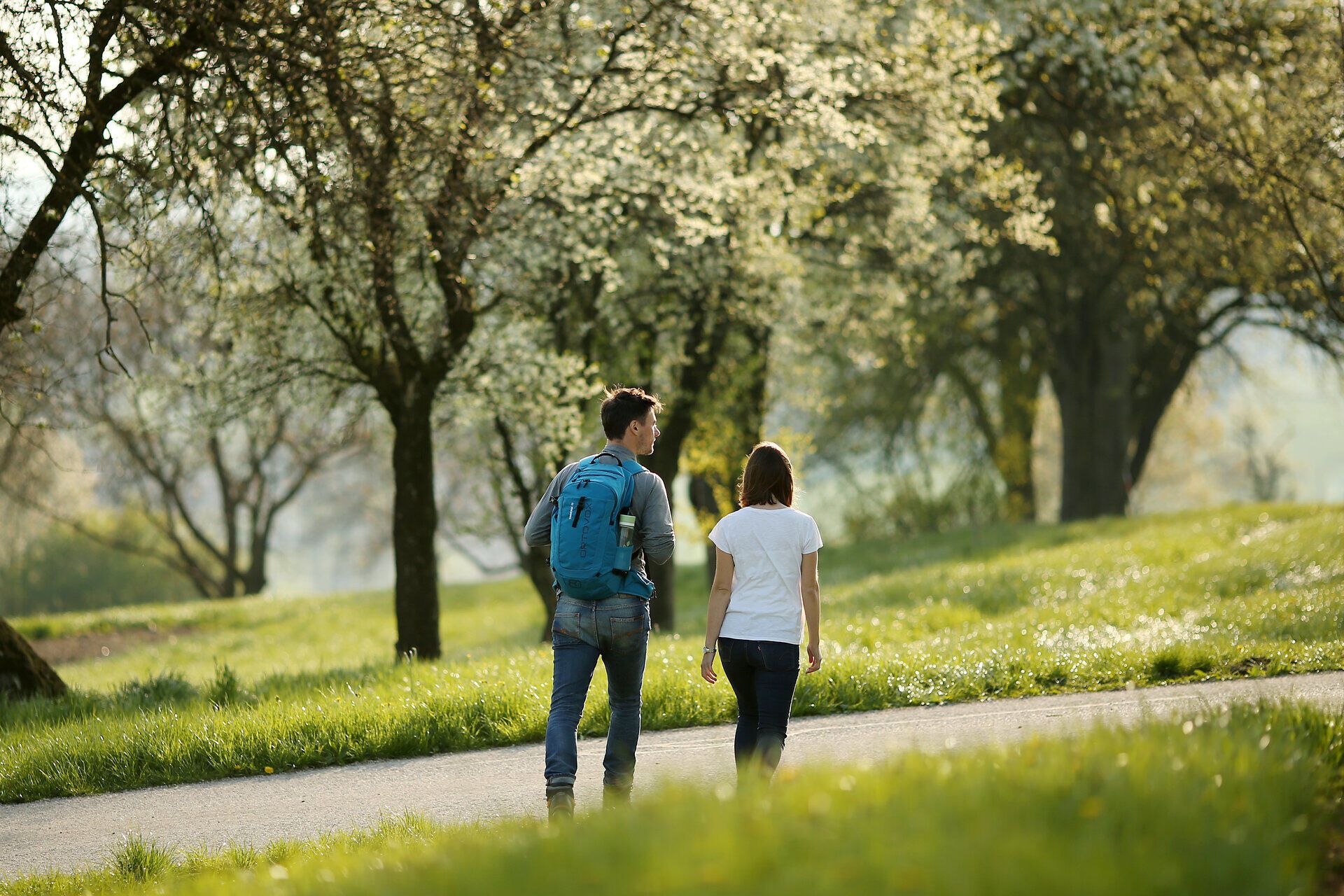 In der sanften Frühlingssonne schlendern zwei Wanderer entlang einer malerischen Straße, umgeben von blühenden Birnbäumen, die in voller Pracht stehen. Die frische Luft ist erfüllt von den süßen Düften der Natur, während die sanften Hügel des Mostviertels eine einladende Kulisse bieten.