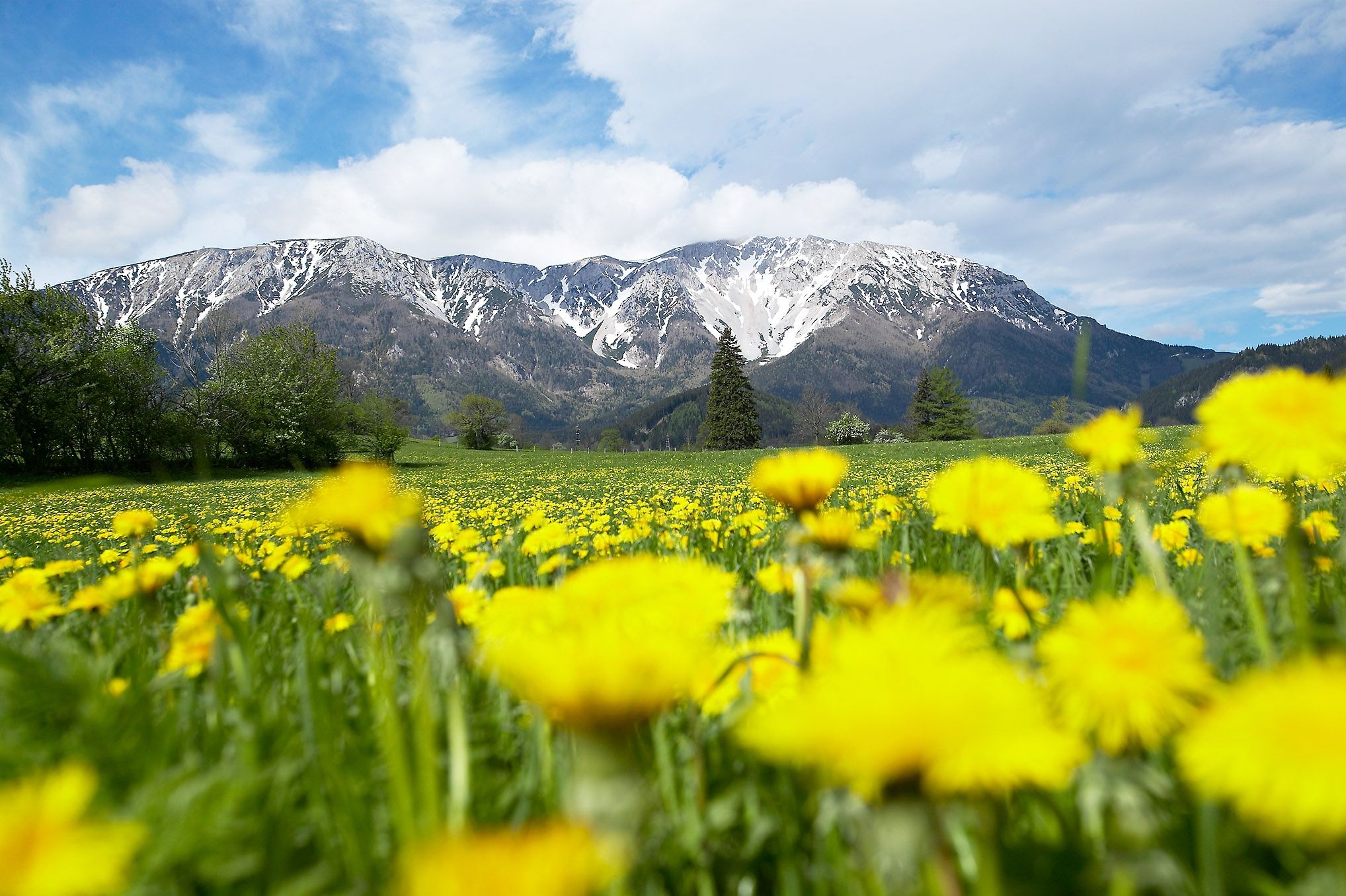 Schneeberg (c) Franz Zwickl