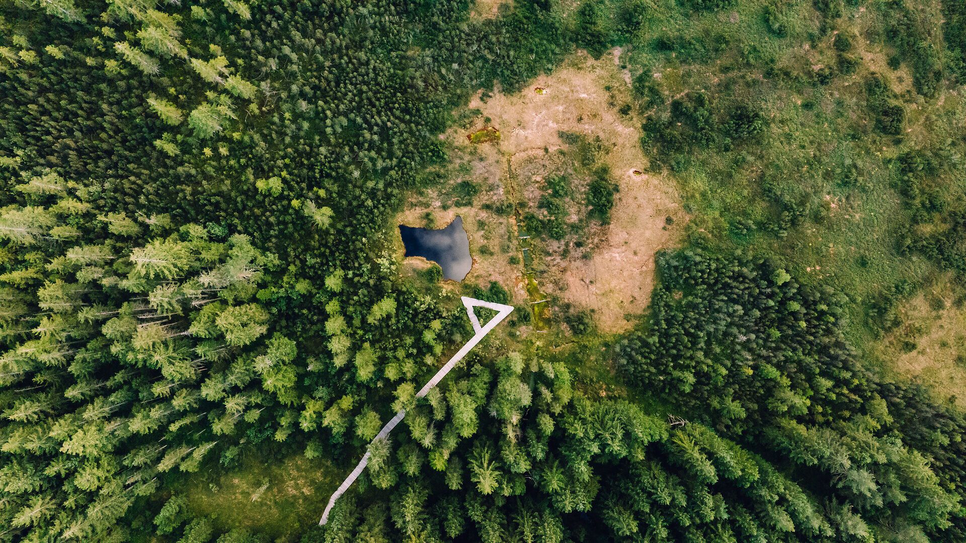 Drohnenaufnahme des Hochreits bei Göstling an der Ybbs mit Waldlandschaft, Moorfläche und Holzsteg inmitten der Natur.