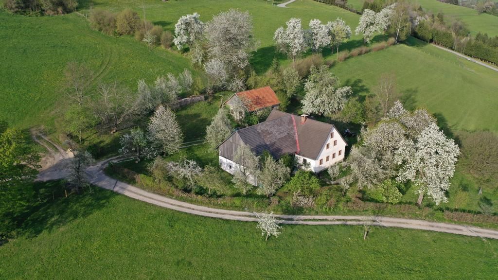 Luftaufnahme eines Bauernhofs umgeben von blühenden Bäumen und grünen Wiesen.
