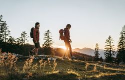 Zwei Wanderer genießen die frische Bergluft und die atemberaubende Aussicht auf die Ybbstaler Alpen. Die goldenen Strahlen der Abendsonne tauchen die Landschaft in ein warmes Licht und schaffen eine friedliche Atmosphäre. Umgeben von majestätischen Bäumen und sanften Hügeln lädt die Natur zum Verweilen und Entdecken ein.