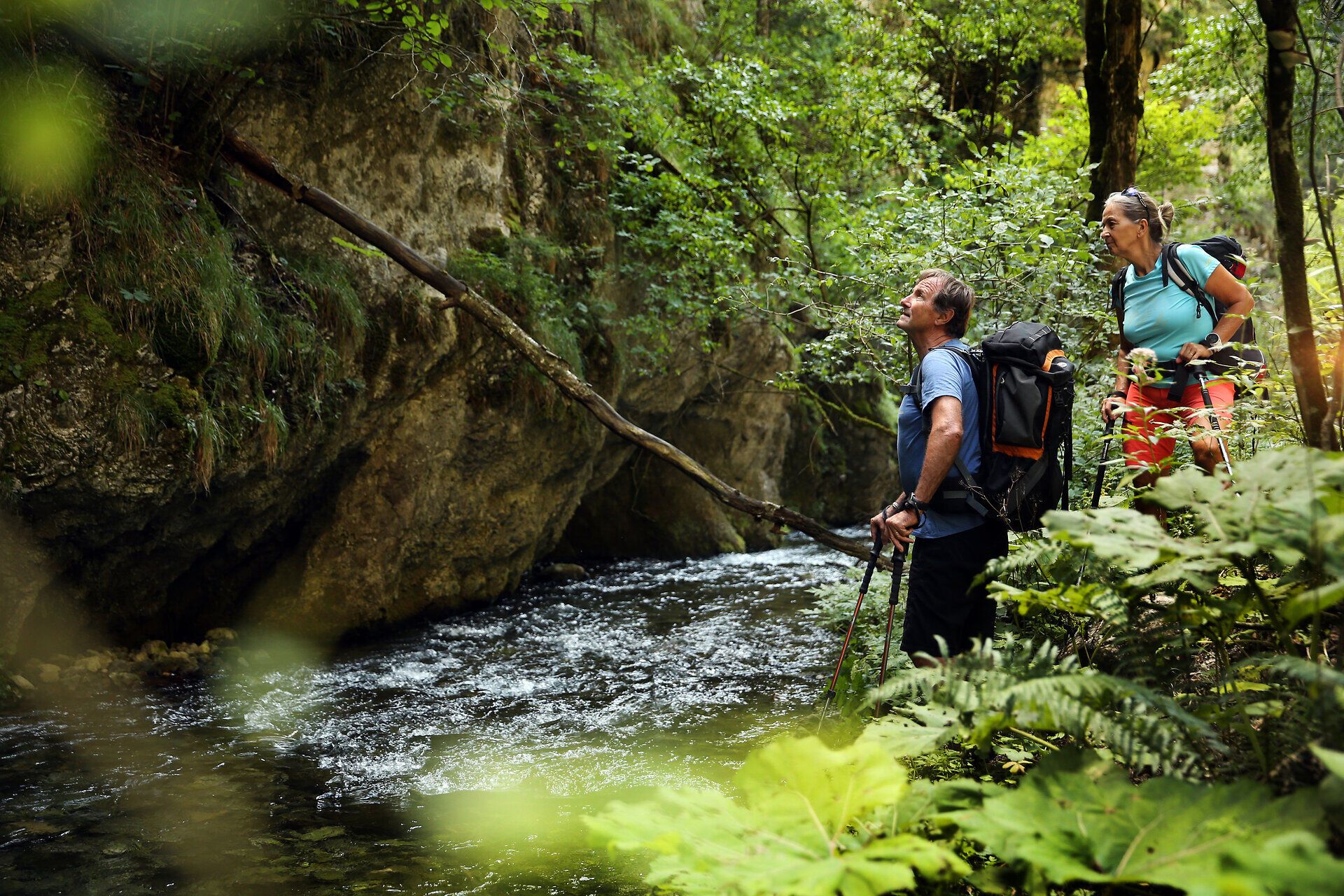 Umgeben von üppigem Grün und dem sanften Plätschern eines Baches, genießen die Wanderer die Ruhe der Natur. Die majestätischen Felsen und die dichten Wälder laden dazu ein, die Seele baumeln zu lassen und die Schönheit der Umgebung zu erkunden.