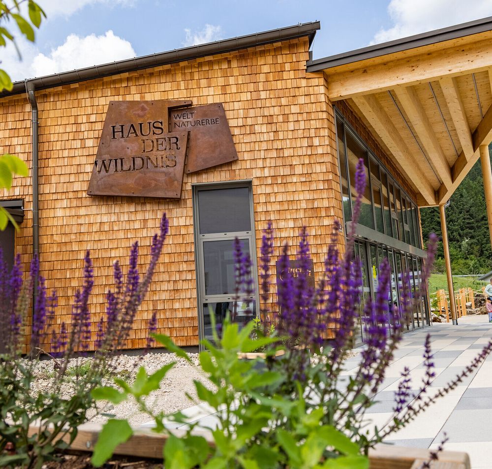 Das Haus der Wildnis strahlt eine einladende Atmosphäre aus, umgeben von der majestätischen Natur des Wildnisgebiets Dürrenstein-Lassingtal. Die harmonische Verbindung von Holz und Glas schafft einen perfekten Ort, um die Schönheit der Umgebung zu genießen und mehr über die heimische Flora und Fauna zu erfahren.